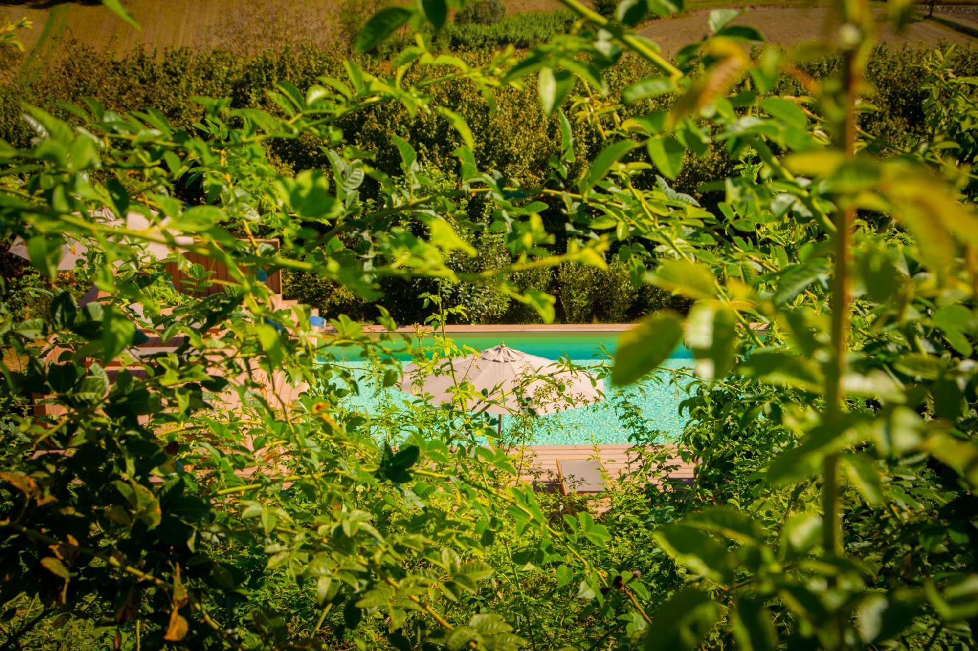 Pampucet Bed & Breakfast Colcavagno Exterior foto